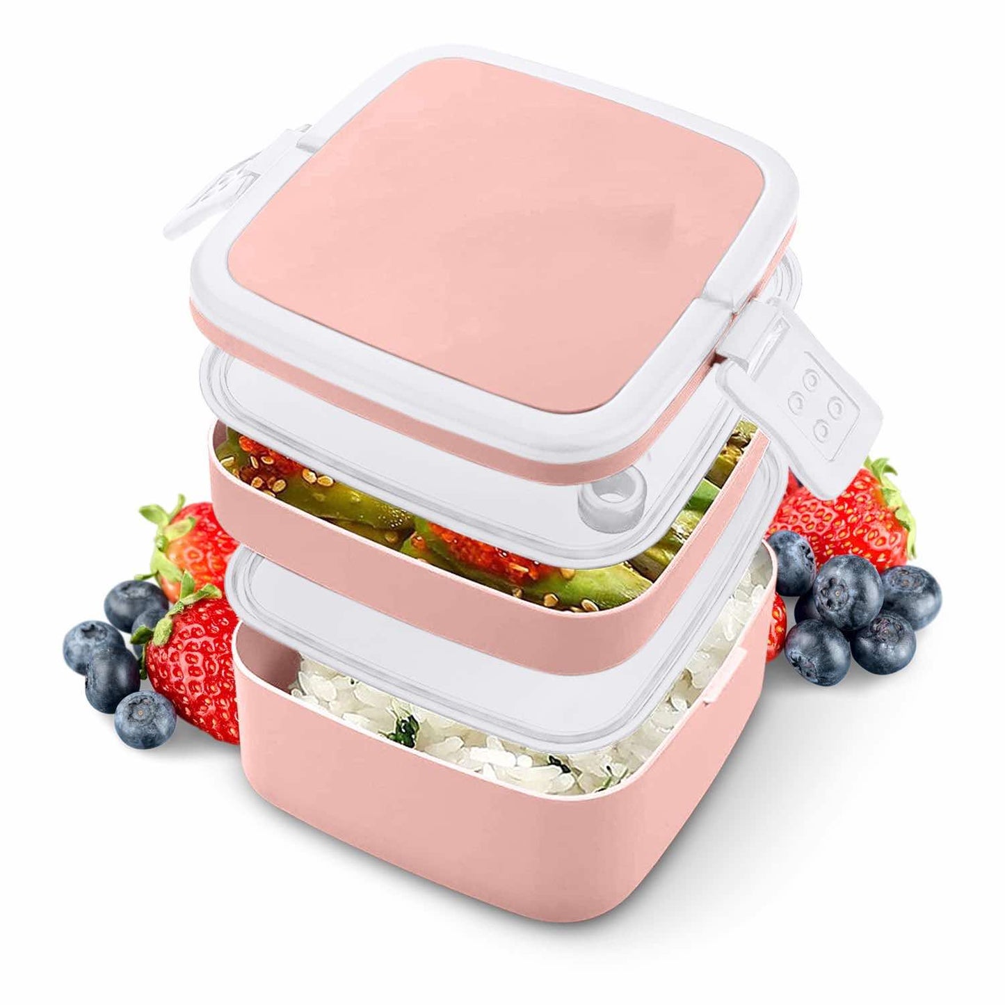 Bento Style Lunch Box