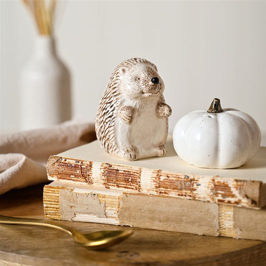 Autumn Hedgehog & Pumpkin Salt And Pepper Shaker Set