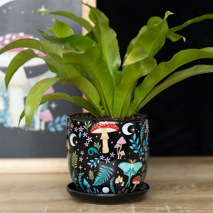 Dark Forest Print Ceramic Plant Pot With Saucer