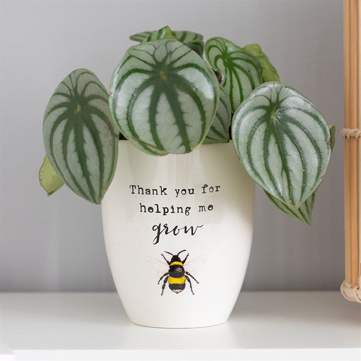 Thank You For Helping Me Grow Plant Pot