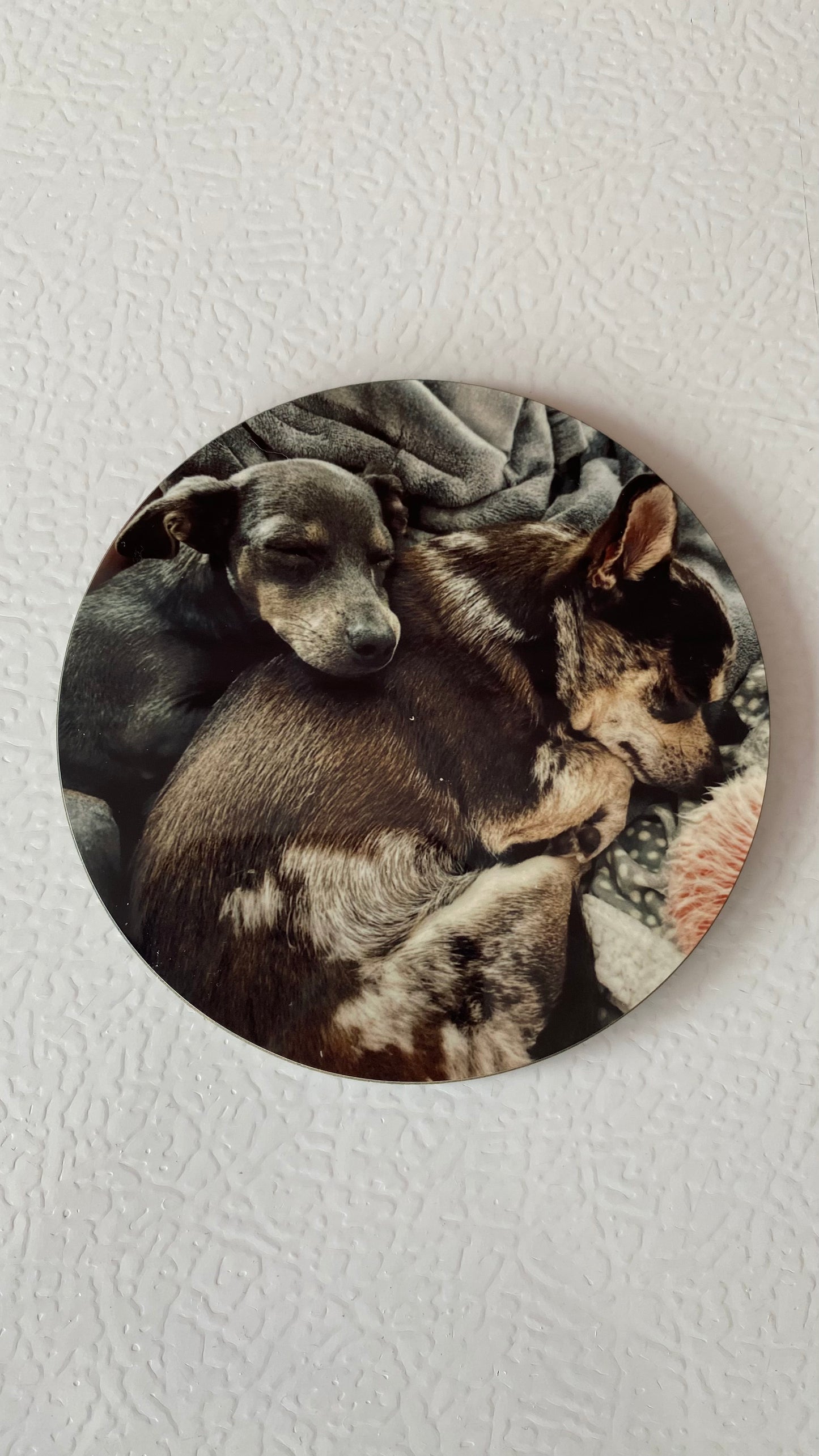 Glossy Photo Upload Coasters - Set of 4