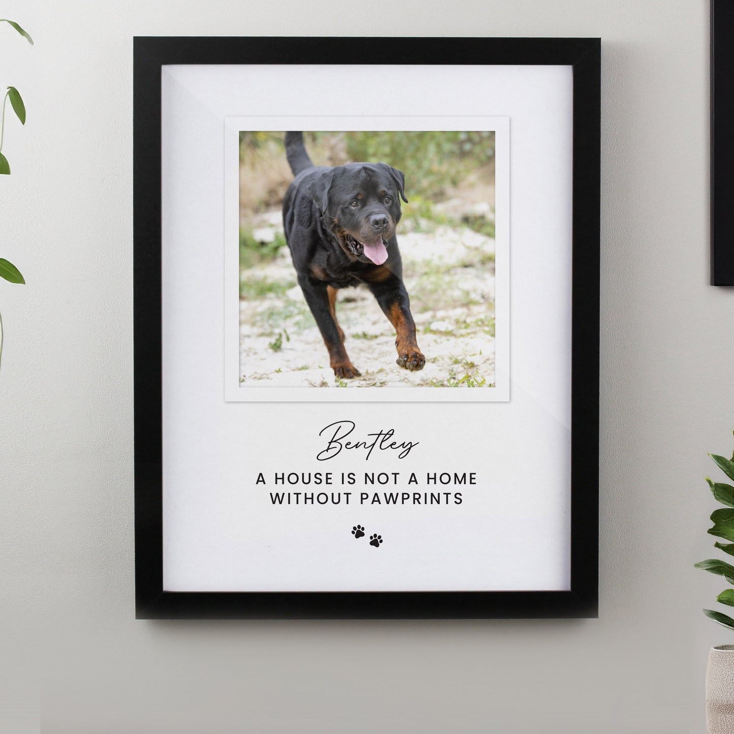 Personalised Pet Photo Upload Black Framed Print