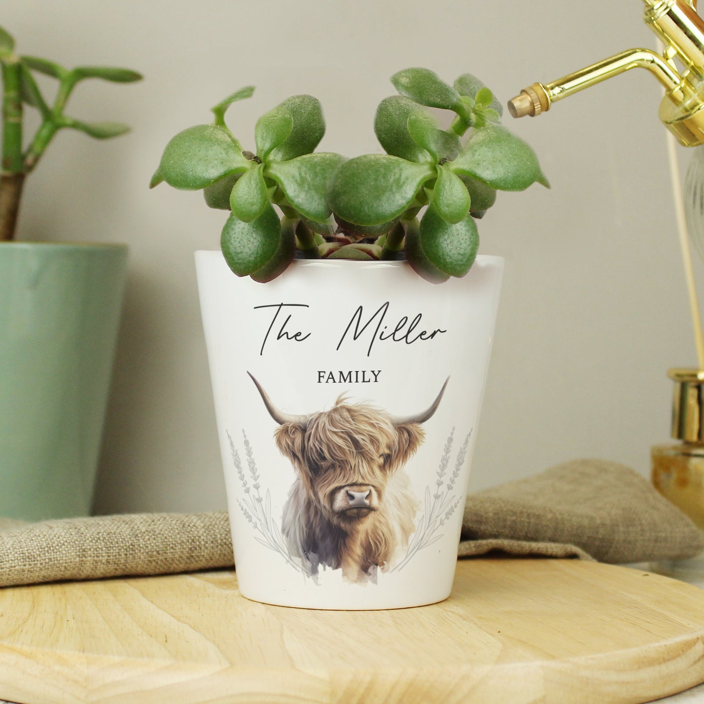 Personalised Highland Cow Plant Pot