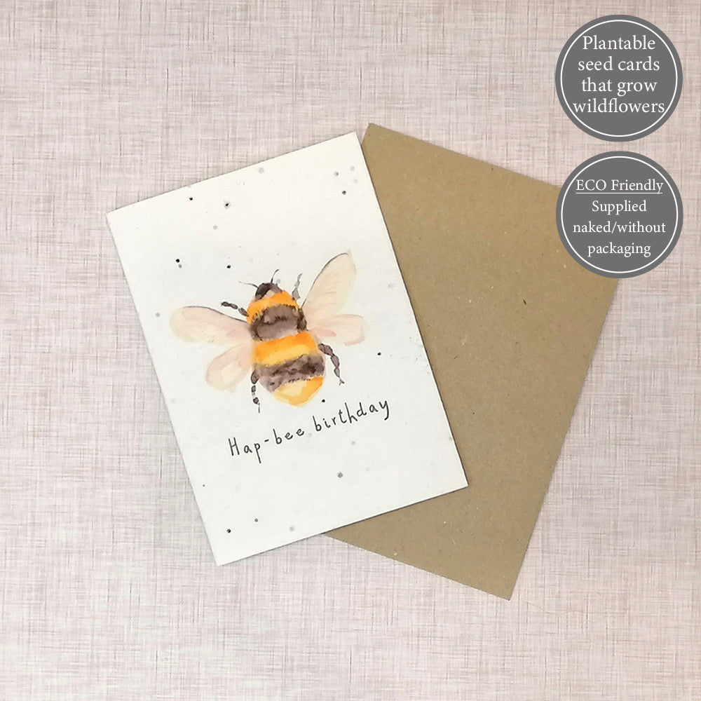 Seed Greeting Cards - 6 Designs to Choose From