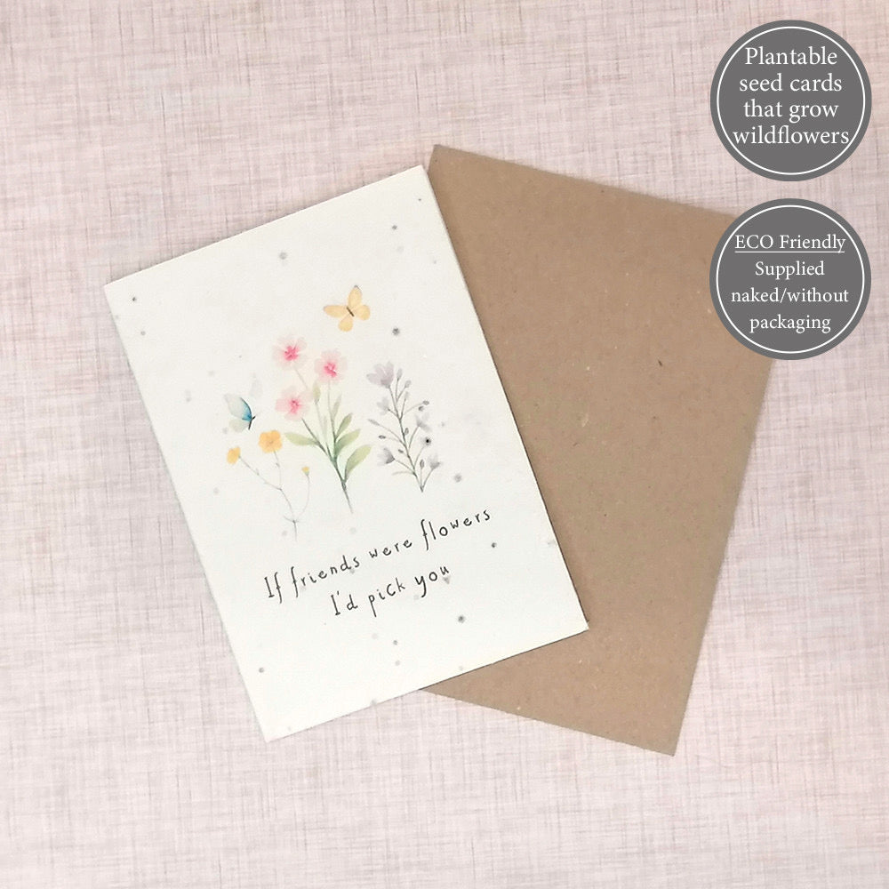 Seed Greeting Cards - 6 Designs to Choose From