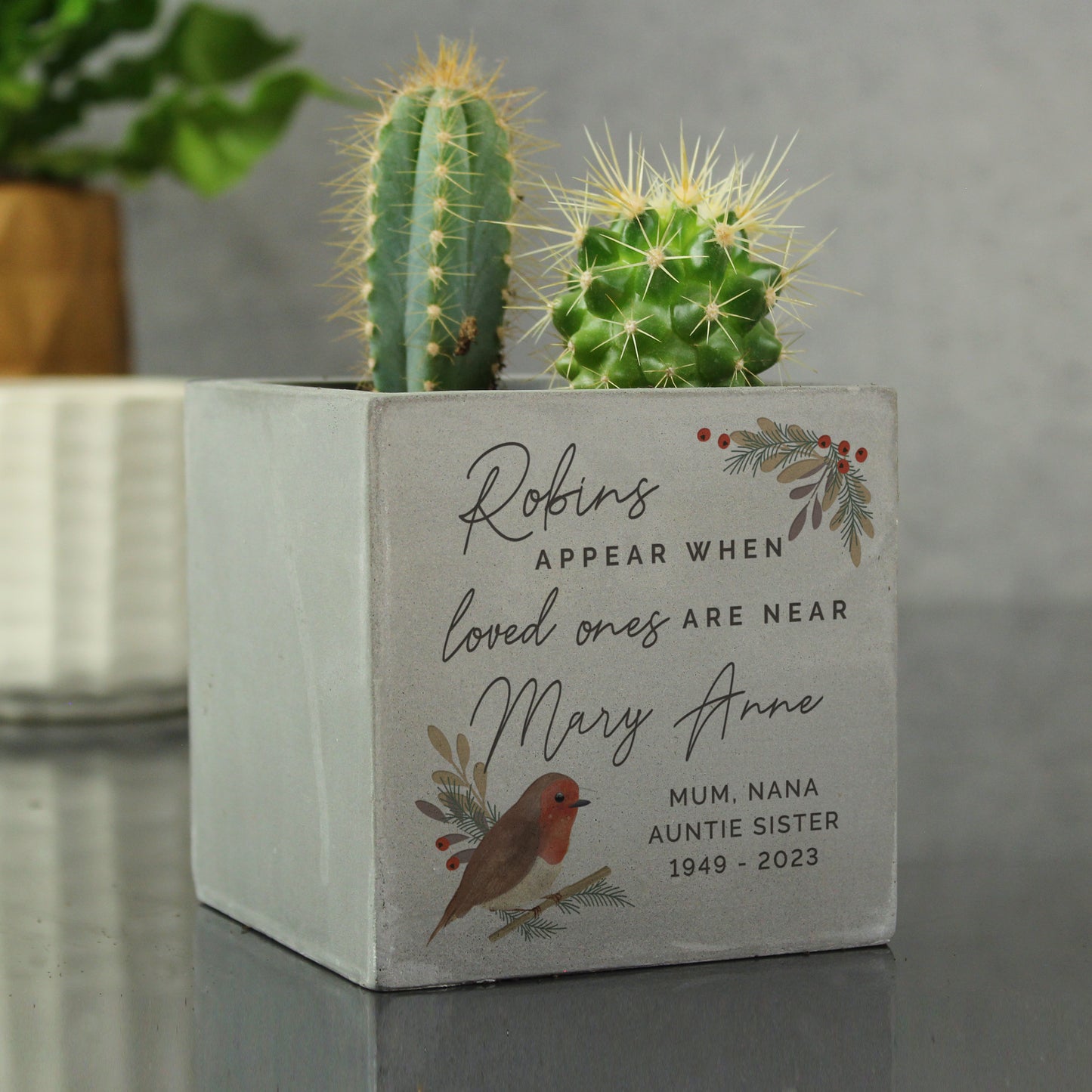 Personalised Robins Appear Concrete Pot